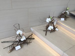 IMG_2691