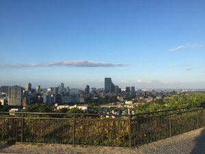 IMG_2771