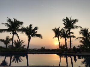 IMG_4608